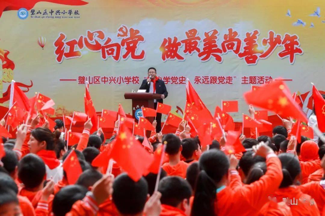 泡沫森林